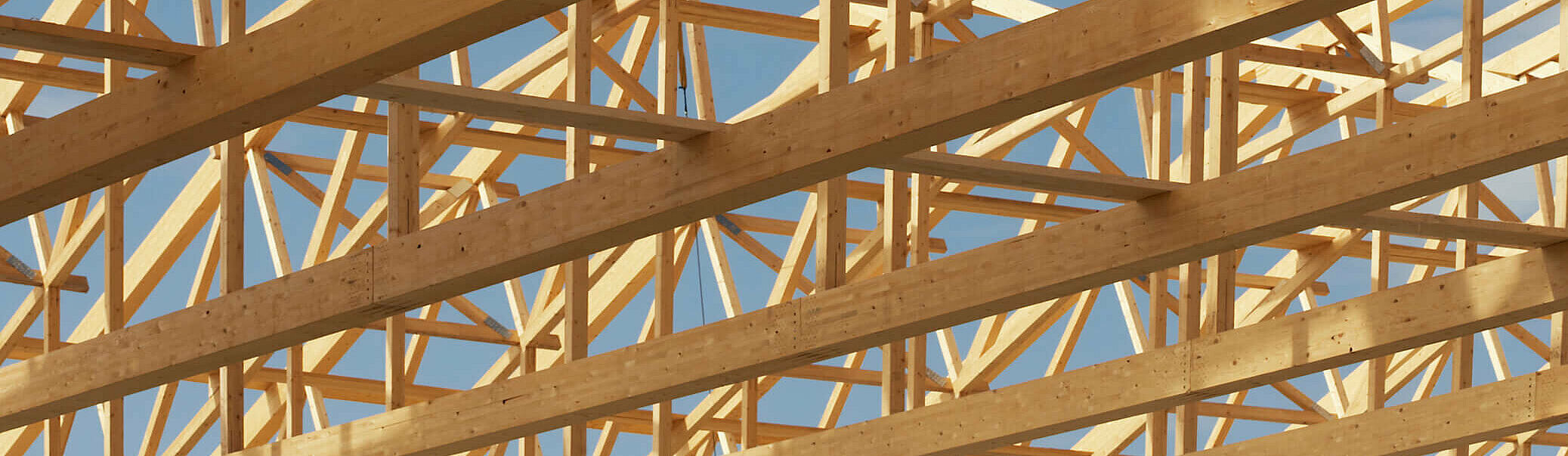 Holzbau Holzbausoftware